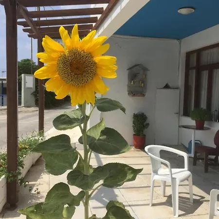 Apartment Bonatsa Andros