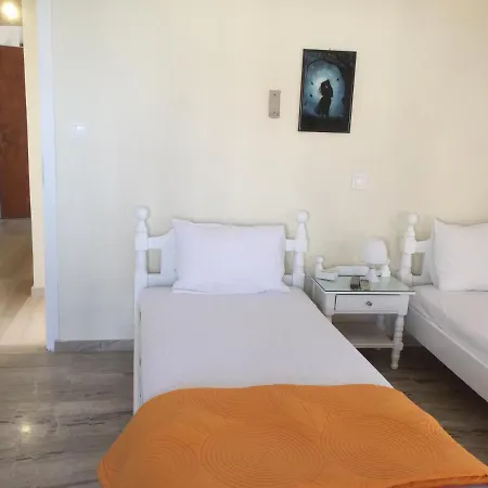 Bonatsa Andros Apartment